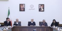 عارف: پروژه ۳۰ ساله را در این دولت تمام می کنیم/ حامی بخش خصوصی هستیم