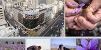 شفافیت، مزیت بزرگ عرضه زعفران در بورس کالا/ رشد صادرات و کاهش قاچاق طلای سرخ از مسیر بورس