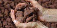 سال خوب بازار سنگ آهن چین