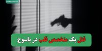 قتل یک متخصص قلب در یاسوج