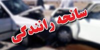 دولت و وزارت بهداشت باید برای پیشگیری از تروما در کشور اقدام جدی کنند