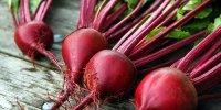  توسعه کشت چغندر علوفه‌ای برای کاهش هزینه و افزایش تولید گوشت قرمز