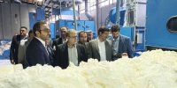 بانک‌ها نباید بنگاه داری کنند
