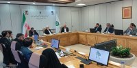 عارف: بنیاد مستضعفان رقیب دولت نیست