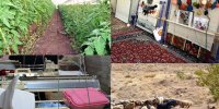 سرمایه‌گذاری، کلید توسعه پایدار جوامع روستایی