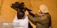 قرارگاه ۲۴ ساعته برای مقابله با تب برفکی تشکیل شد/  بی‌توجهی دامداران دیگر پذیرفتنی نیست