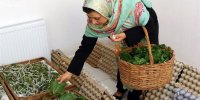 مهم‌ترین مشکل صاحبان مشاغل خانگی چیست؟