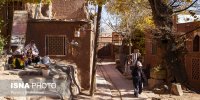 توسعه کسب و کارهای روستایی با ایجاد زیست بوم روستا
