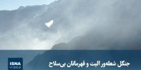 ویدیو/ جنگل الیت و قهرمانان بی‌سلاح