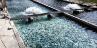 افزایش ۲ برابری اعتبارات عمرانی خوزستان