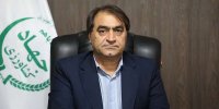 توزیع خوراک دام و طیور با ارز دولتی
