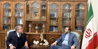 تاکید معاون وزیر خارجه بر وجود ظرفیت‌های گسترده در روابط ایران و برزیل