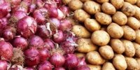 هدفگذاری تولید ۲.۱ میلیون تن گوجه فرنگی، سیب زمینی و پیاز در طرح استمرار