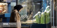 در بازار سکه و طلا چه خبر؟ + جدول