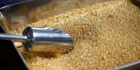 طلای جهانی چگونه قیمت‌گذاری می‌شود؟