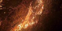 ببینید | آتش‌سوزی در بخشی از جنگل‌های اشکور رودسر