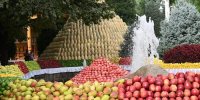 ببینید | قیمت میوه و خشکبار در تاجیکستان