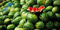 ببینید | گزارش صداوسیما درخصوص انتشار اخبار غیررسمی از بازار روسیه مبنی بر وجود نیترات در هندوانه ایرانی