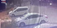 ببینید | وحشت یک کودک از تعقیب سگ‌ها؛ پدر از فاجعه احتمالی جلوگیری کرد