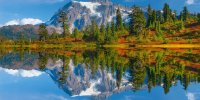 اینفوگرافیک | تأثیرات مثبت طبیعت‌گردی بر سلامت جسم و روان