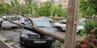 عکس | ریشه‌کن شدن درختی در خیابان قائم‌مقام فراهانی در اثر طوفان امروز تهران
