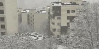 تصاویر | برف ۲۰ سانتی‌متری شمال تهران را پوشاند