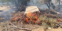مهار کامل آتش‌سوزی در آرادکوه از ۲ روز پیش/ حریق جدیدی رخ نداده است