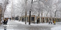 بارش برف و باران در تهران/ کاهش دما تا ۱۱ درجه