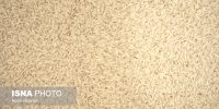 برنج را حذف نکنید؛ درست مصرف کنید