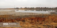 کم آبی «سراب نیلوفر» همچنان ادامه دارد