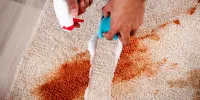 ترفند طلایی برای محو کردن لکه چای از روی فرش