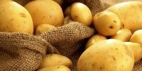 سیب‌زمینی برای زندگی طولانی‌تر؟