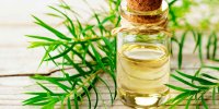 مضرات روغن زیتون تاریخ گذشته
