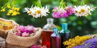 داروهای گیاهی را از عطاری نخرید