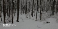 تداوم خشکسالی در کشور/ افزایش ۱۱ درصدی آمار بارش ها هم کارساز نیست/تهران؛ کم‌بارش‌ترین استان شد