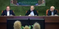 آقای پزشکیان! در وزارت جهاد کشاورزی گاهی برای رفع خستگی چای دبش می‌نوشند!/  خواستید از وزیرتان حمایت کنید، سر خرمن بیایید!
