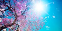 خبر بد برای بارش باران در سال 1405/ سال آبی از نفس افتاد