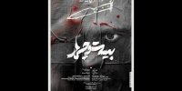 از اجرای چند نمایش تا چند داستان دیگر