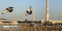 آخرین وضعیت قبرستان بقیع + ویدئو