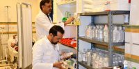 توصیه‌های رئیس هلال‌احمر به کادر امدادی و درمانی حج در عربستان