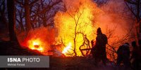چرا یونسکو در مهار آتش هیرکانی به ایران کمک نکرد؟