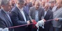 نمایشگاه چهارمین جشنواره ملی انار ساوه آغاز به کار کرد