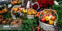 یلدا در ترازوی معیشت؛ تغییر الگوی خرید بدون حذف سنت