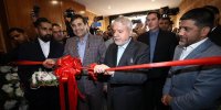 صالحی امیری: قدردان آقای دبیر باشیم