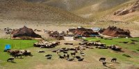 گردشگری عشایر پتانسیلی مغفول مانده در شهرهای خراسان رضوی