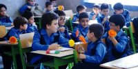 فرصت ۴۵ روزه مدارس غیردولتی برای اعلام «شهریه»/۲ درصد مدارس شهریه ۱۰۰ تا ۱۴۵ میلیون تومانی دارند