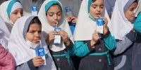 گرانی لبنیات، ترمز طرح توزیع شیر در مدارس را کشید