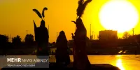 مراسم تعزیه‌خوانی حضرت سیدالشهدا(ع) در امتداد رویداد «سوگ سرو»