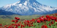 سفر یک‌روزه اطراف تهران‌ کجا برویم؟/ دشت لار، بهشت گمشده البرز؛ مقصدی بکر برای طبیعت‌گردی و عکاسی