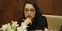 شیراز در آستانه اکسپو ؛ فرصتی برای تولد یک برند جهانی